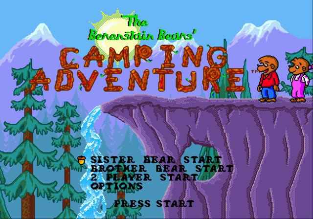 The Berenstain Bears Camping Adventure