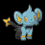 Shinx
