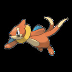 Buizel