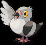 Pidove