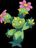 Maractus