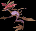 Dragalge