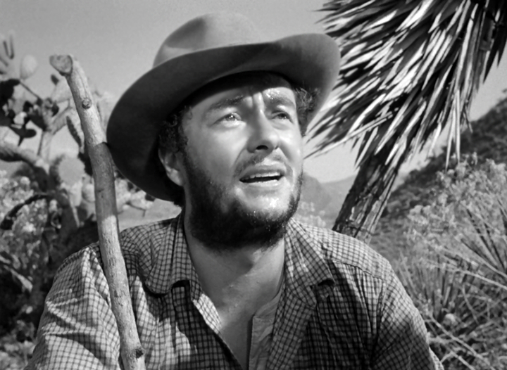 The Treasure of the Sierra Madre (1948)