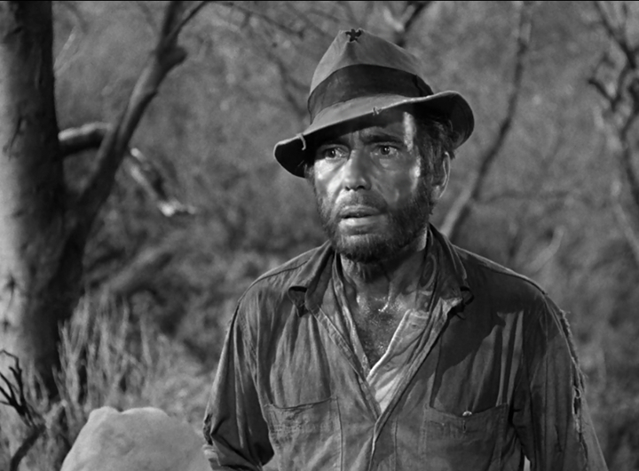 The Treasure of the Sierra Madre (1948) The Treasure of the Sierra Madre (1948)