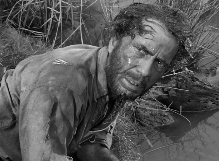 The Treasure of the Sierra Madre (1948)