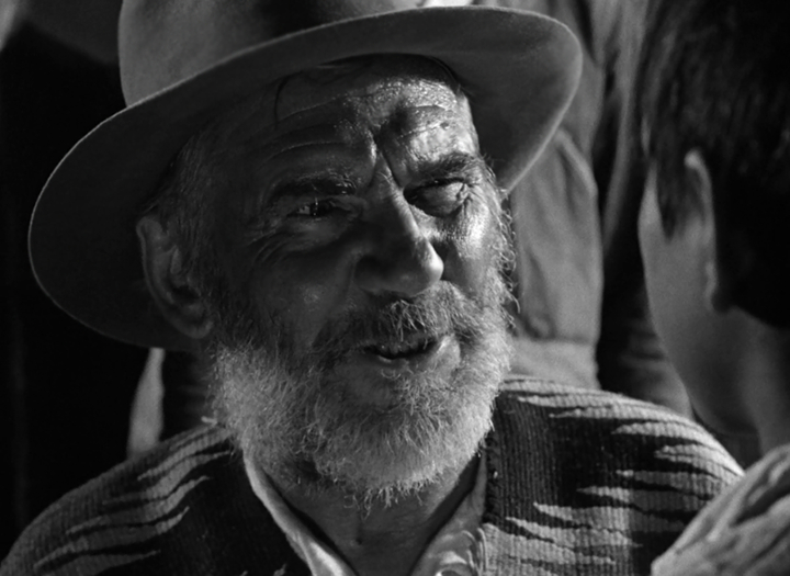 The Treasure of the Sierra Madre (1948)