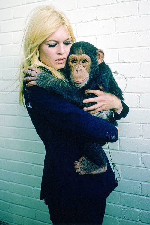 Brigitte Bardot Brigitte Bardot