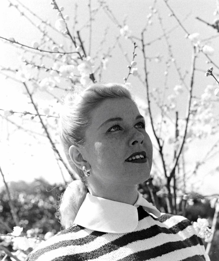 Doris Day