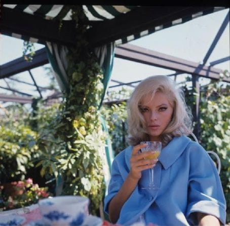 Picture of Virna Lisi