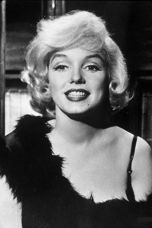 Some Like It Hot Some Like It Hot