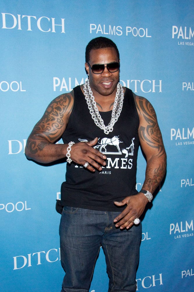 Busta Rhymes picture