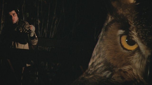 Blow Out (1981) Blow Out (1981)