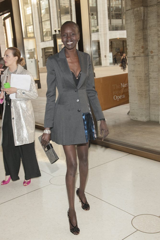 Picture of Alek Wek