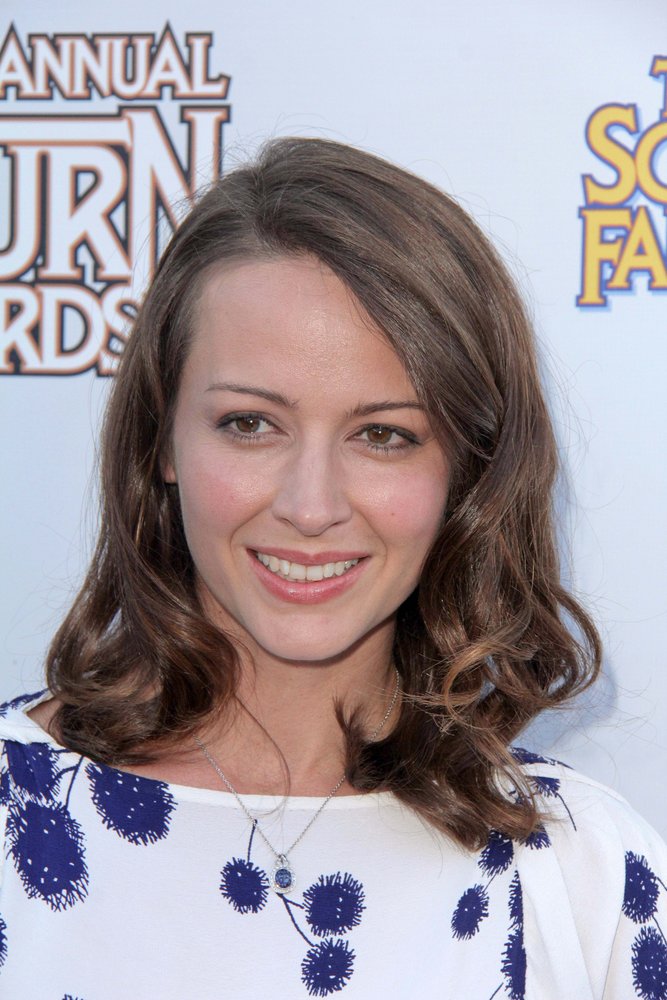 Amy Acker Amy Acker