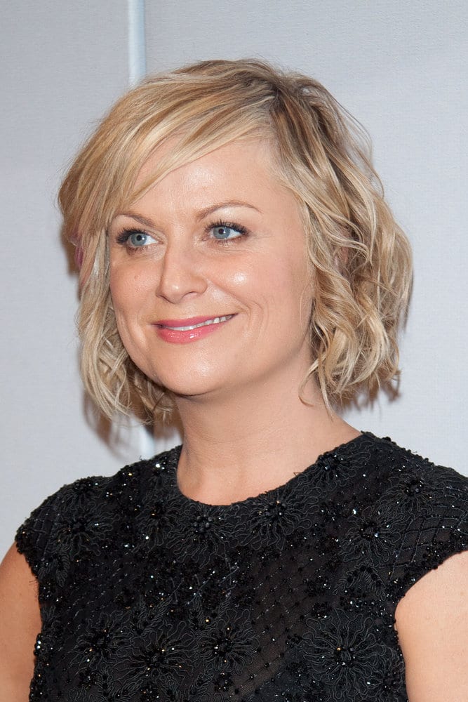 Amy Poehler