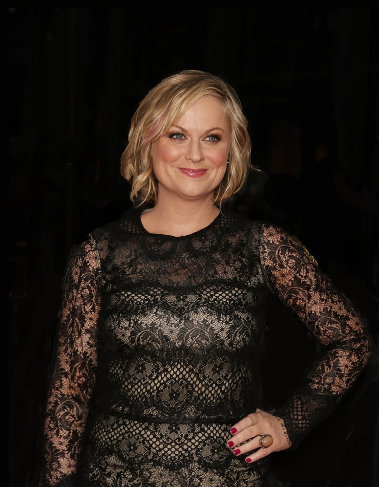 Amy Poehler