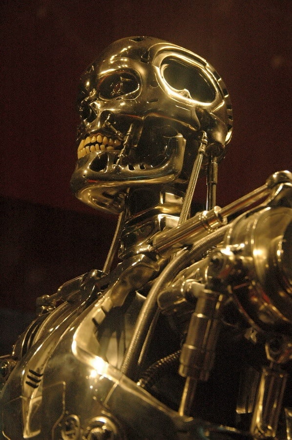 The Terminator (T-800)