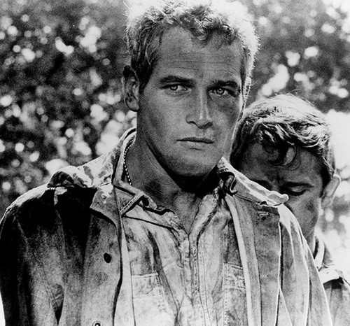 Cool Hand Luke Cool Hand Luke