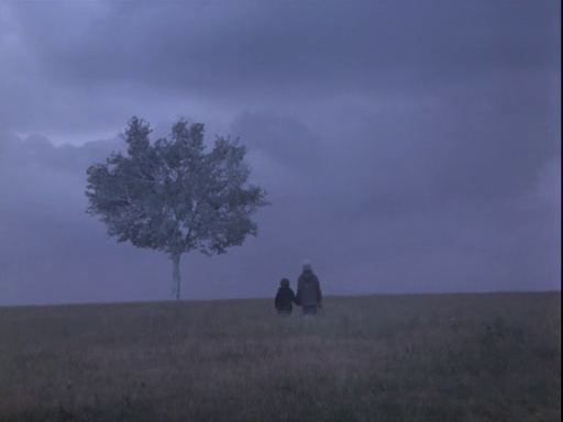 Landscape in the Mist