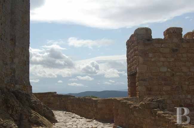 Château du Narbonne