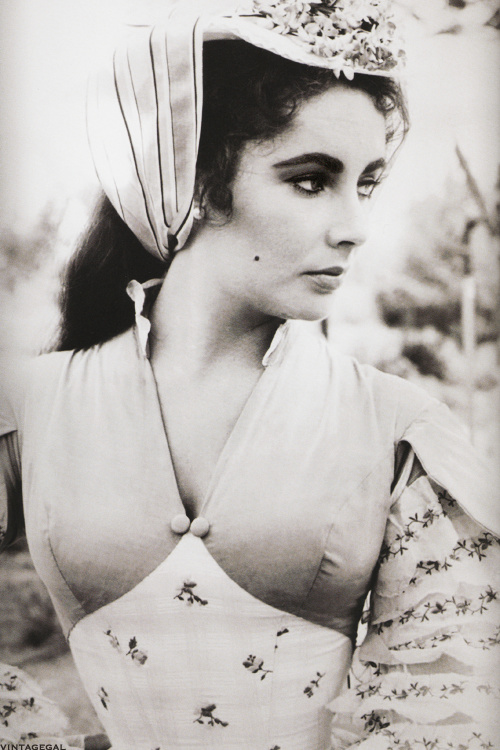 Elizabeth Taylor Elizabeth Taylor