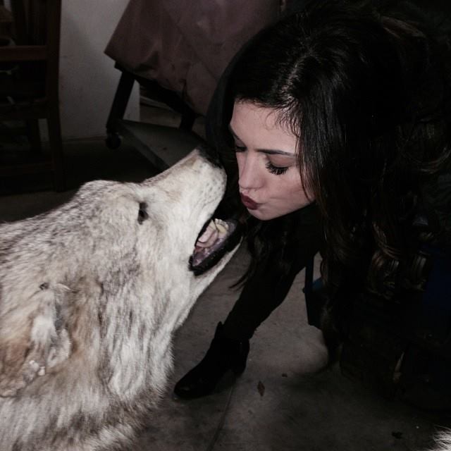 Phoebe Tonkin