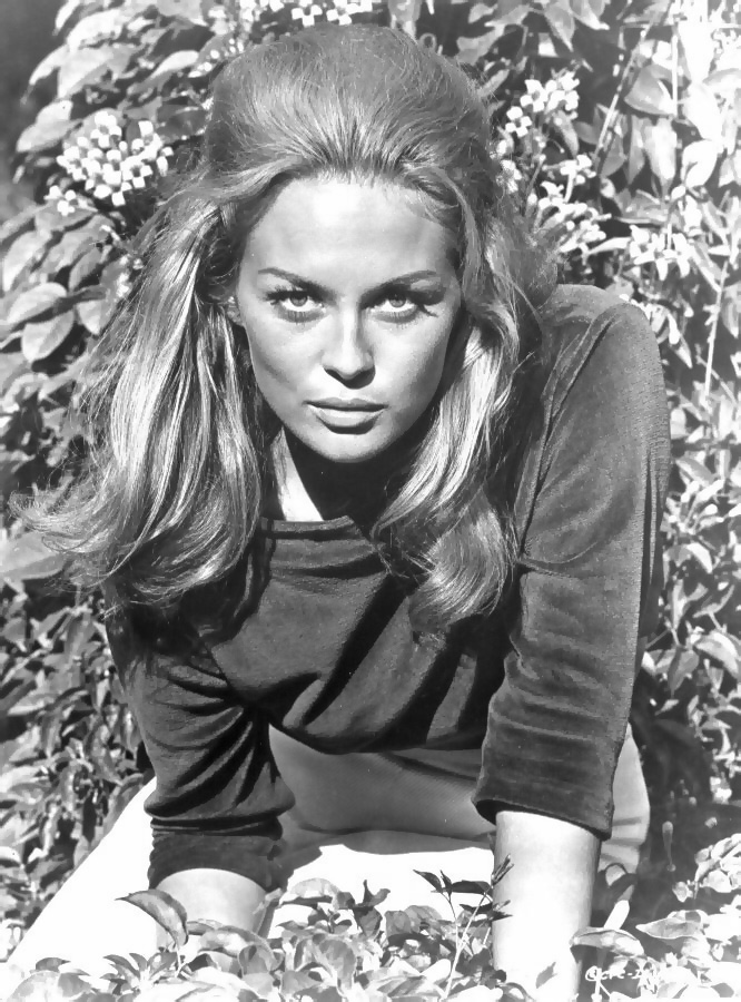 Faye Dunaway Faye Dunaway