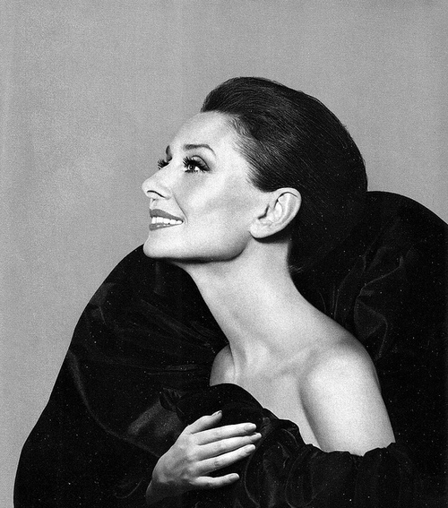 Audrey Hepburn Audrey Hepburn