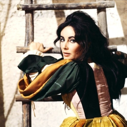 Elizabeth Taylor Elizabeth Taylor