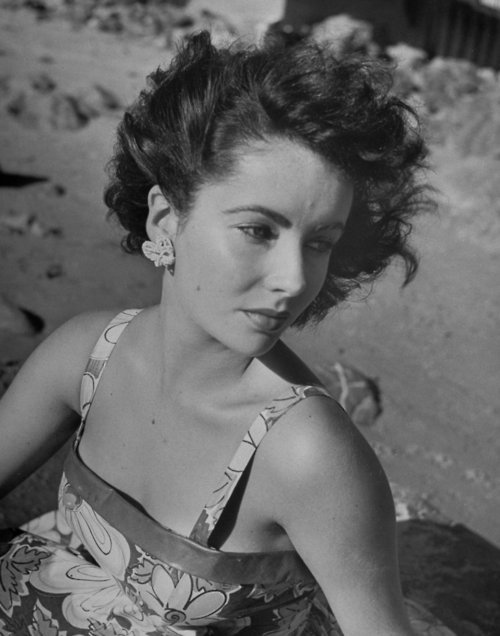 Elizabeth Taylor Elizabeth Taylor
