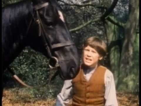 The Adventures of Black Beauty