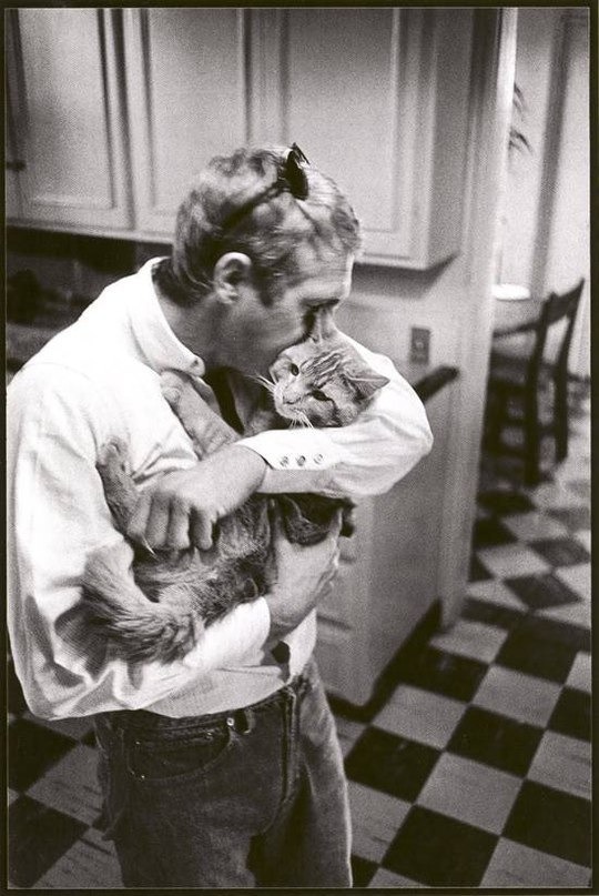 Martin Freeman Martin Freeman
