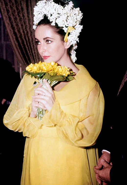 Elizabeth Taylor Elizabeth Taylor