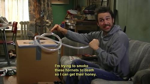 It's Always Sunny in Philadelphia It's Always Sunny in Philadelphia