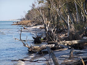 Western Pomerania Lagoon Area National Park