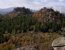 Harz National Park