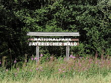 Bavarian Forest National Park