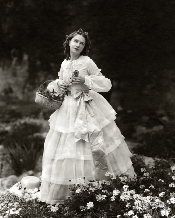 Dorothy Gish Dorothy Gish