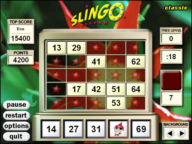 Slingo Deluxe (DVD)