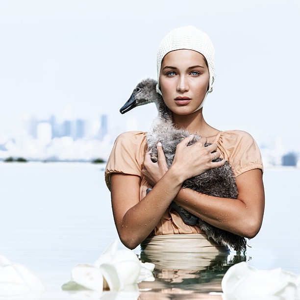 Bella Hadid Bella Hadid