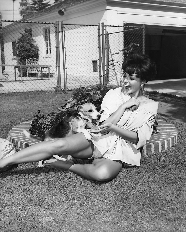 Joan Collins Joan Collins