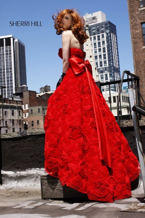 Alyssa Campanella Alyssa Campanella