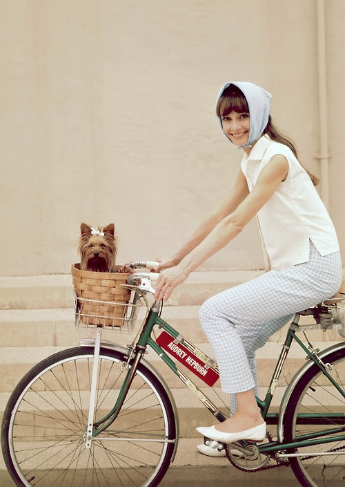 Audrey Hepburn Audrey Hepburn