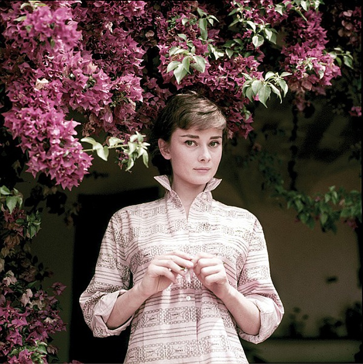 Audrey Hepburn Audrey Hepburn