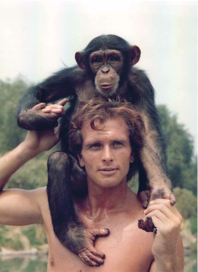 Tarzan (1966-1968) Tarzan (1966-1968)