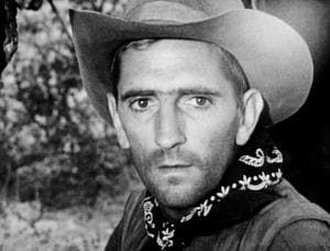 Harry Dean Stanton