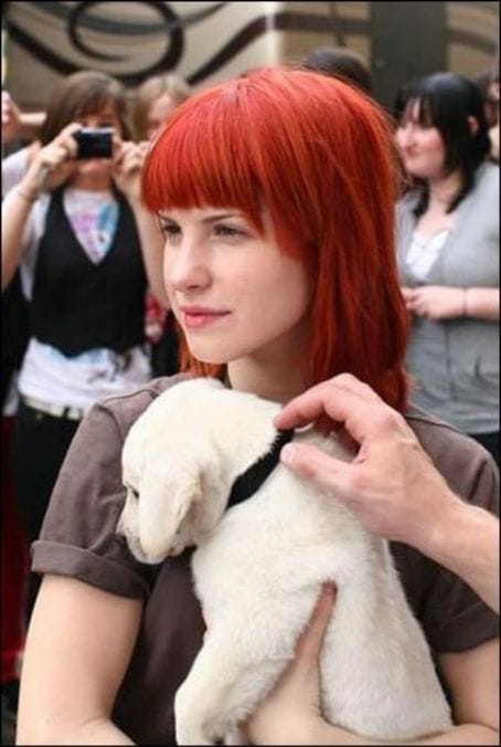 Hayley Williams Hayley Williams