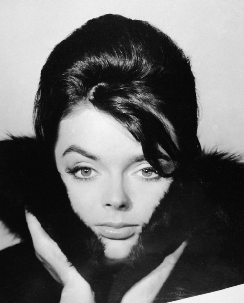 Barbara Steele Barbara Steele