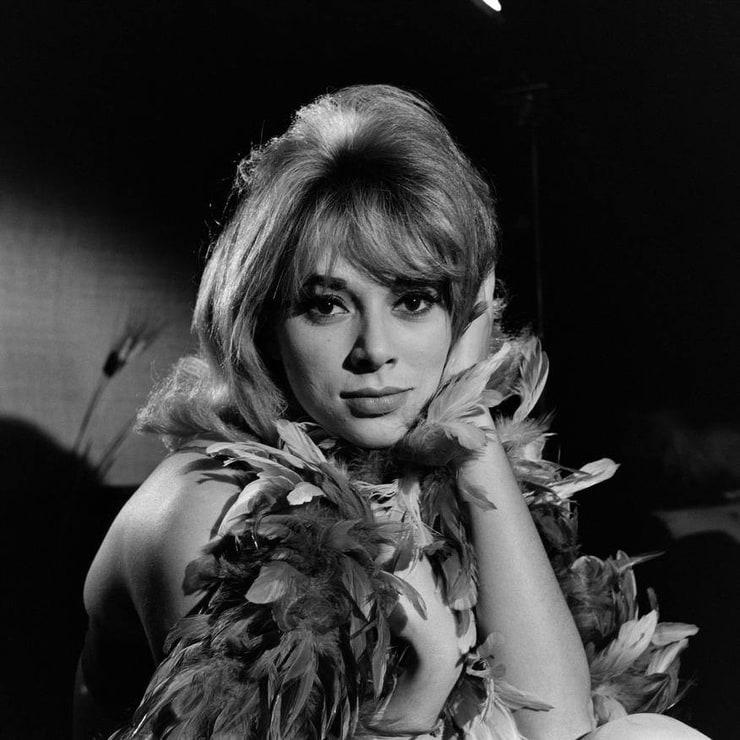 Mireille Darc