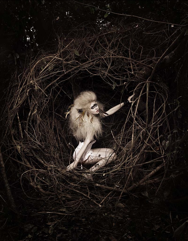 Allison Harvard Allison Harvard